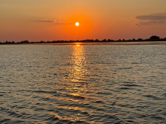 Pensiunea Paradise Delta House主图