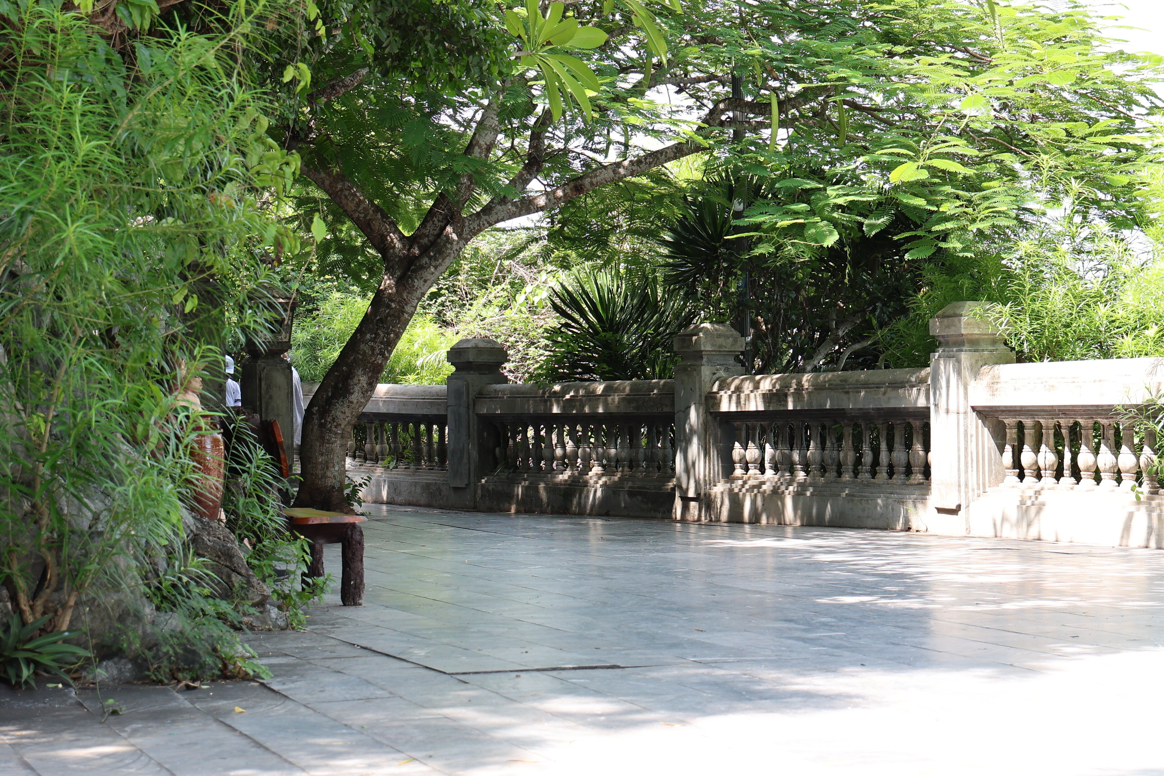 Hoa Dong Hotel-官方