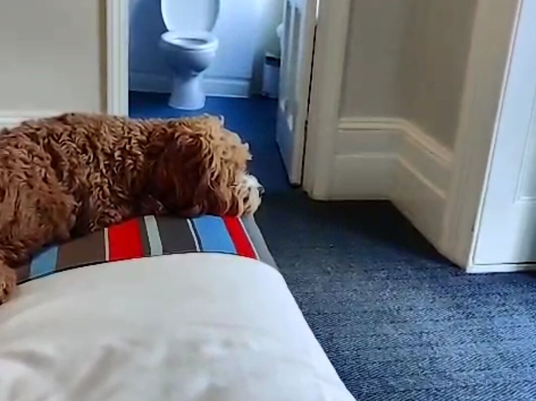 Travelodge Tunbridge Wells主图