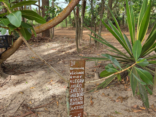 Del Rey Climb-德尔雷伊必去景点