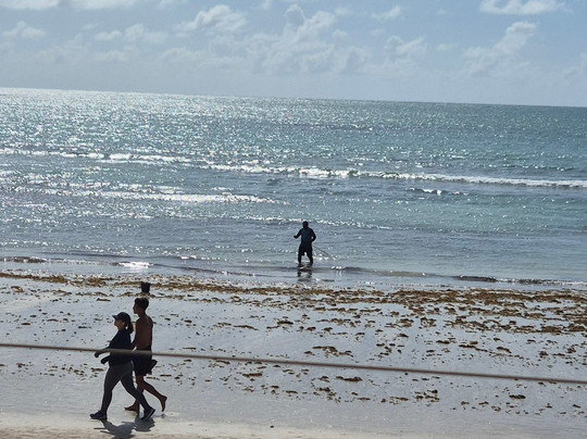 Carneiros Paradiso主图