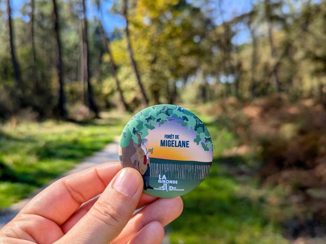 Sud Bordeaux Tourisme-马尔迪亚克必去景点