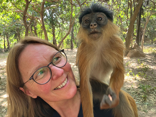 Buba's Gambia - Tours-塞瑞库达必去景点