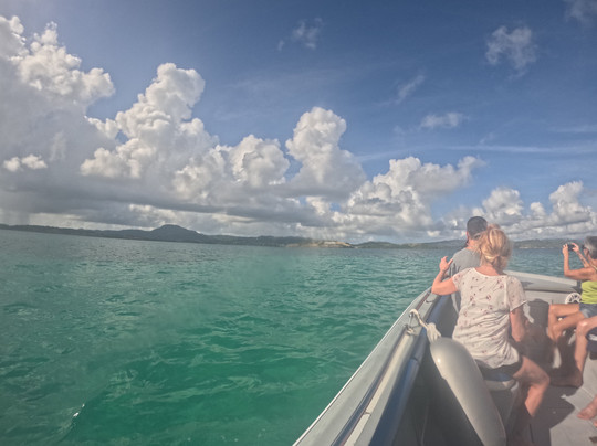 Matt'Excursions Nautiques-Le Francois必去景点