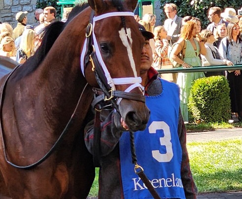 Keeneland-列克星敦必去景点