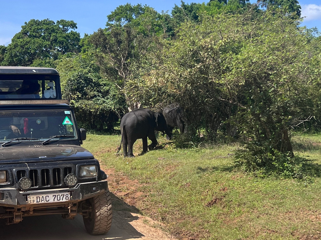 Yala Safari by WildQuest Tours-蒂瑟默哈拉默必去景点