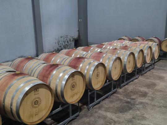 Vinicola Quinta Don Bonifacio-南卡希亚斯必去景点