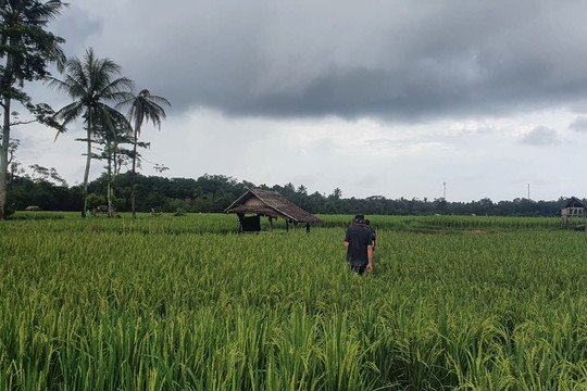 Ujung Kulon Ecotourism-Ujungjaya必去景点