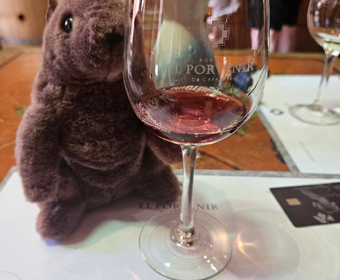 Bodega El Porvenir de Cafayate-卡法亚特必去景点