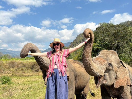 Doi Lom Elephant Rescue Sanctuary-夜登必去景点