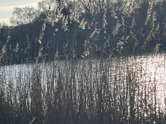 Pensthorpe-Fakenham必去景点