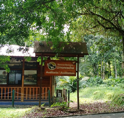 Lake Limoncocha-Tena必去景点