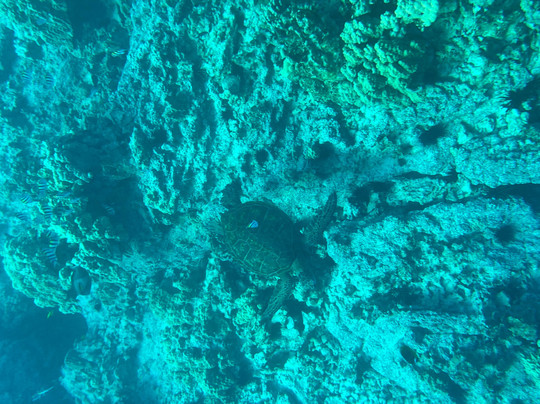 Liquid Hawaii-普阿克必去景点