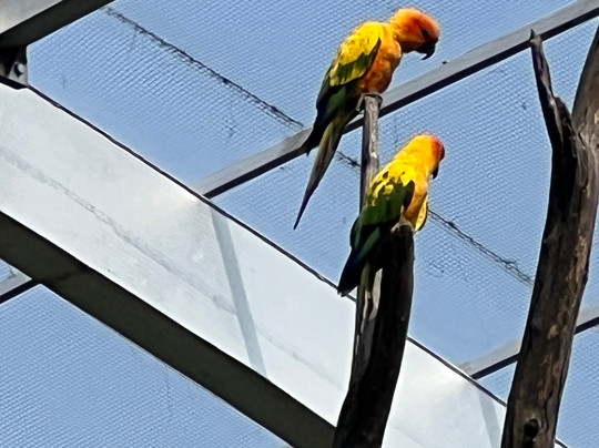 Ab Original Motorcycle Adventures Tours-新德里必去景点