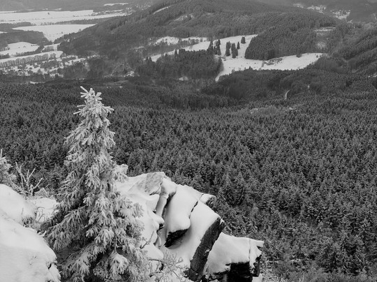 杰斯特德酒店主图