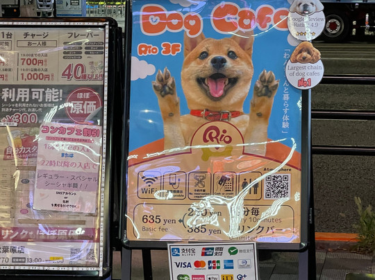Dog Cafe Rio Akihabara-千代田区必去景点