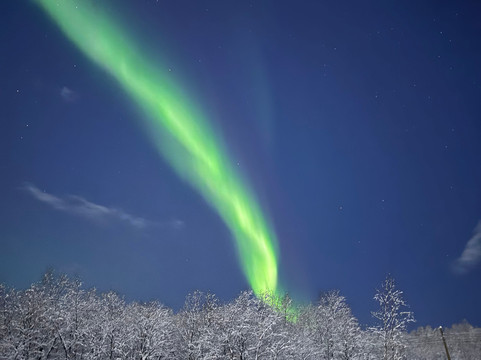 Arctic Safari-摩尔曼斯克必去景点