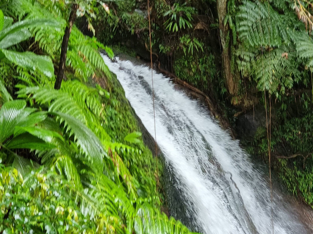 Blue Pearl-瓜德罗普岛必去景点