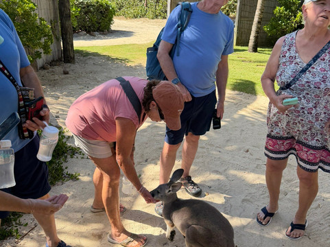 Island Vibe Destinations-Spanish Town必去景点