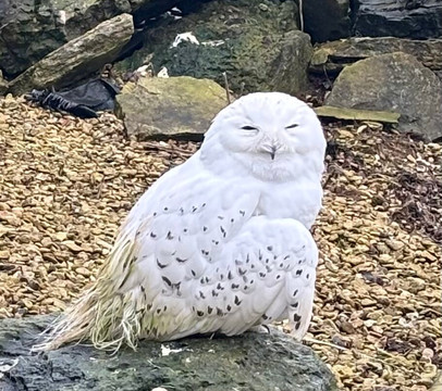 鸟园-水上伯顿必去景点