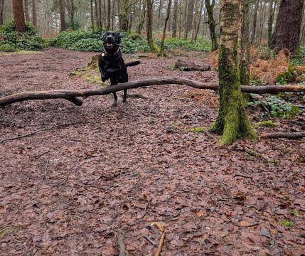 Leith Hill-多肯必去景点