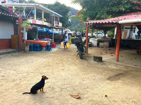 Casa de los Artistas主图