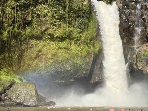 Bali Unique Driver-巴厘岛必去景点
