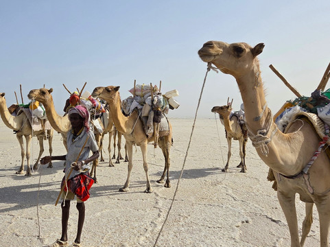 Ecotravel Ethiopia Tours and car rental-亚的斯亚贝巴必去景点