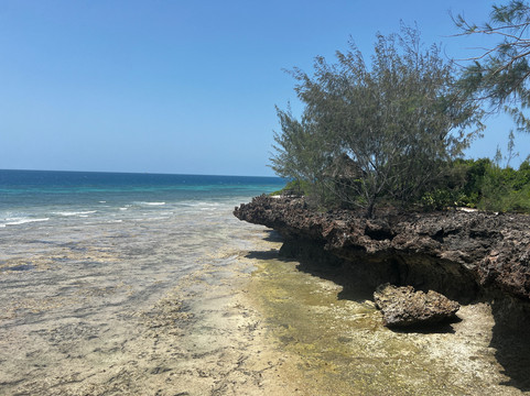 Chumbe Island Coral Park-桑给巴尔岛必去景点