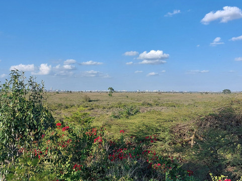 尼亚提山别墅主图