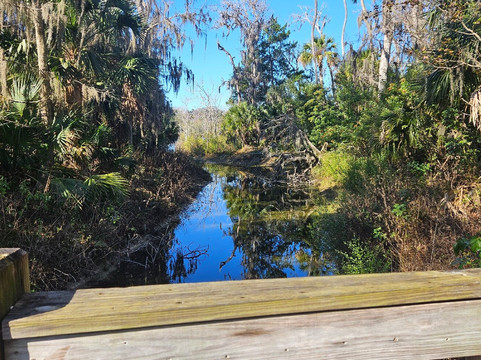 Central Park-奥蒙德海滩必去景点