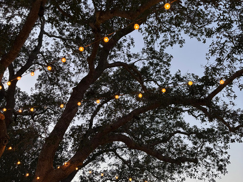 Ojai Retreat & Inn主图