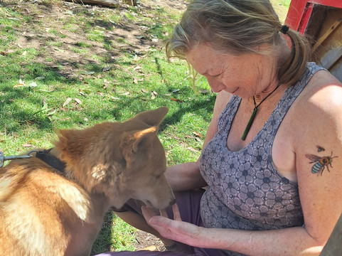 Jirrahlinga Dingo Conservation & Wildlife Education Centre-Chewton必去景点