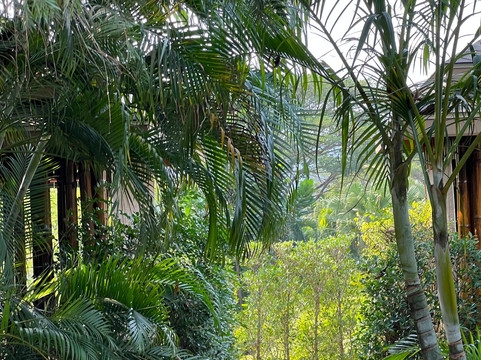 罗摩衍那水上乐园-芭堤雅必去景点