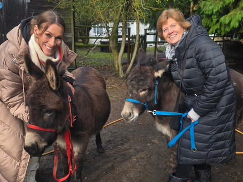 Huckleberry Woods-Faversham必去景点