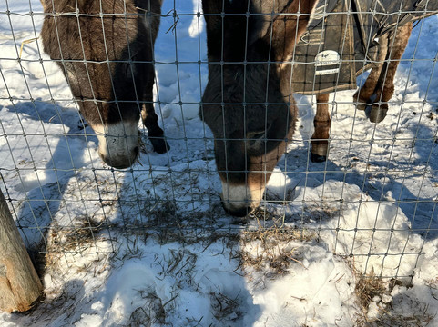 野花农场，Auberge Resorts Collection主图