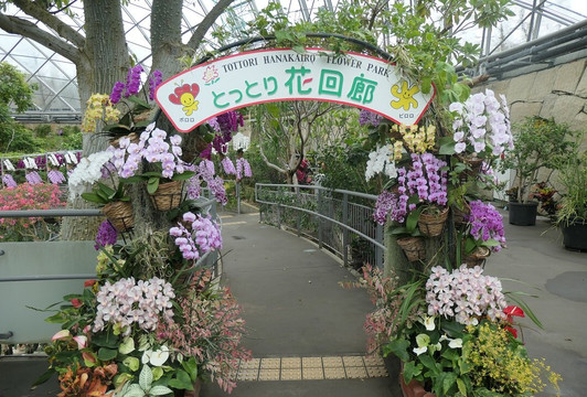 Tottori Hanakairo-Flower Park-南部町必去景点