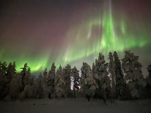 Lapland Safaris Yllas-Akaslompolo必去景点