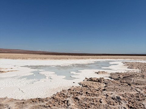 Lagunas Baltinache-圣佩德罗-德阿塔卡马必去景点