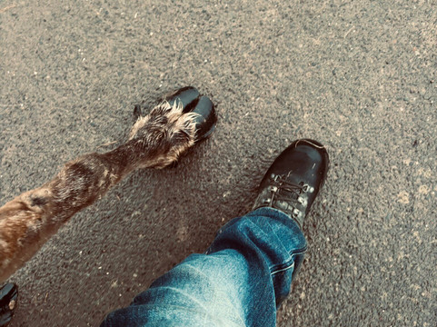 Rentieralm-Niederhausen必去景点