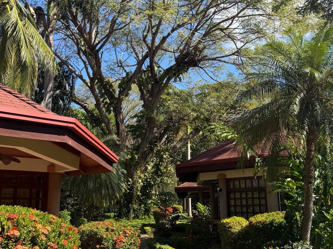 Villas Acacia Beach & Garden Hotel主图