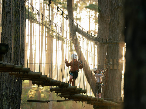 Tree Adventures-伍德山必去景点