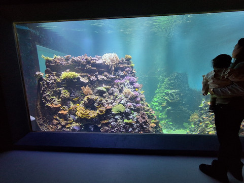 Sjofartsmuseet Goteborg-哥德堡必去景点