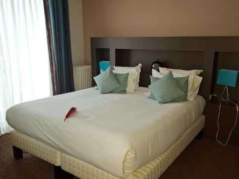 雷泽尔弗酒店主图