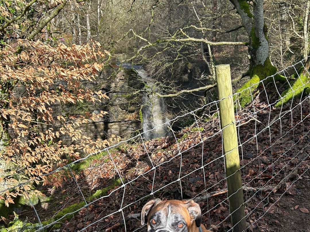 Hardraw Force-Hawes必去景点