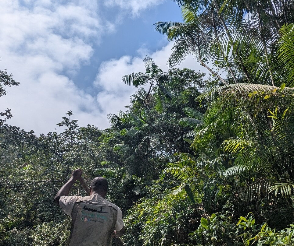 Tundo Tours-Bahia Solano必去景点
