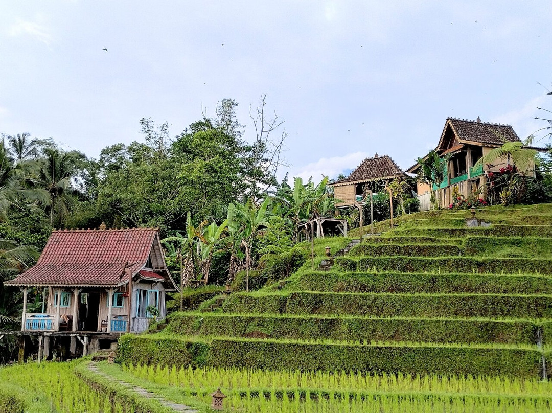 D'Ume Bendoel Homestay