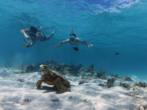 Slice Of Life-卓得多斯必去景点