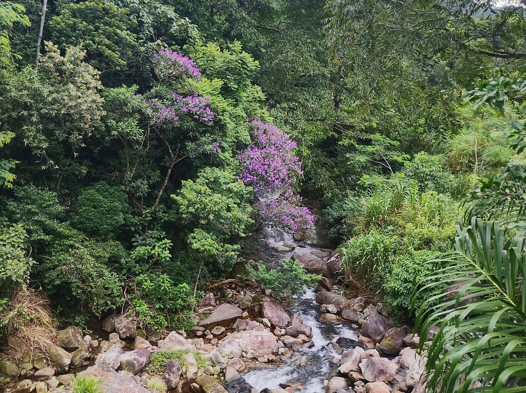 Fazenda Colomi Ecoturismo-Guapimirim必去景点