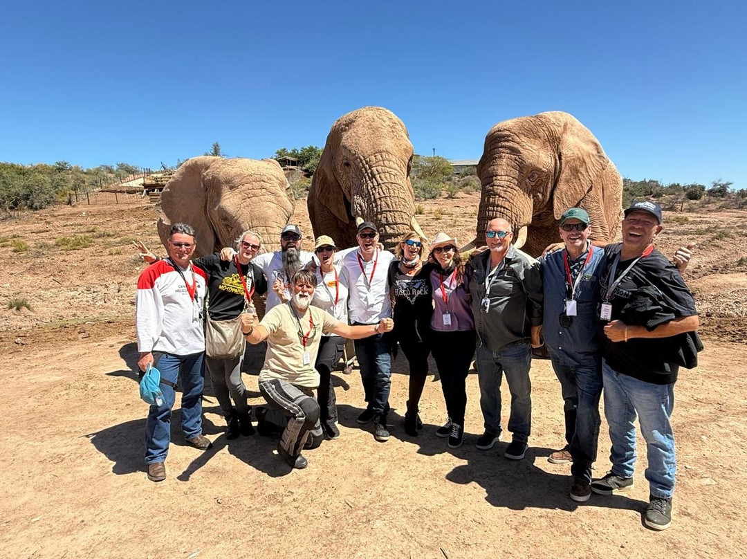 GS Africa | EagleRider SA Motorcycle Tours  & Rentals-开普敦中心区必去景点